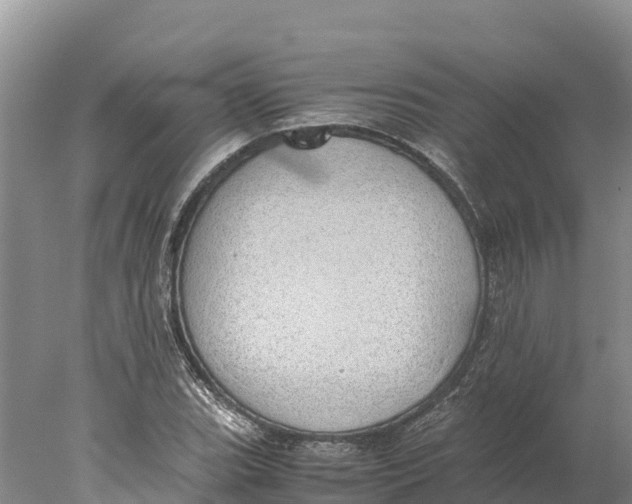 X0000077991119200611171747