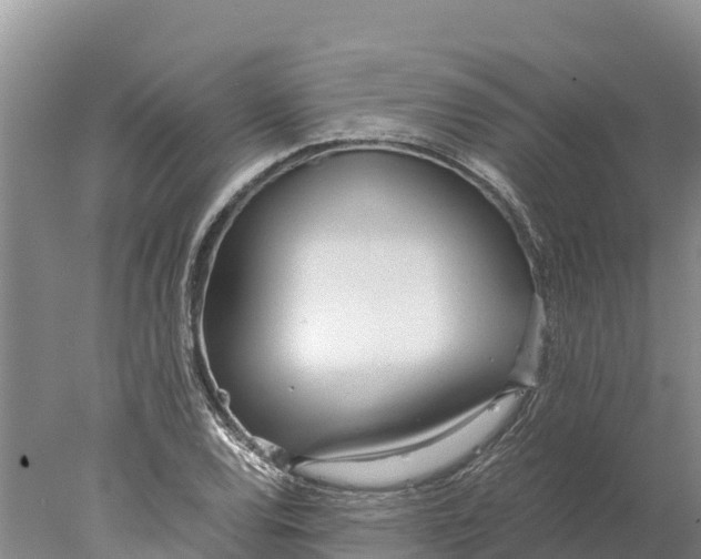 X0000077991120200611171747