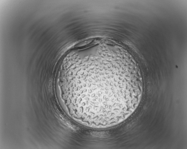 X0000077991121200611171747