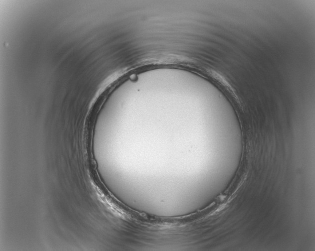 X0000077991122200611171747