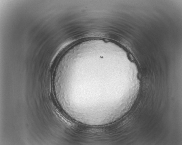 X0000077991123200611171747