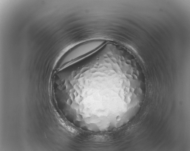 X0000077991125200611171747