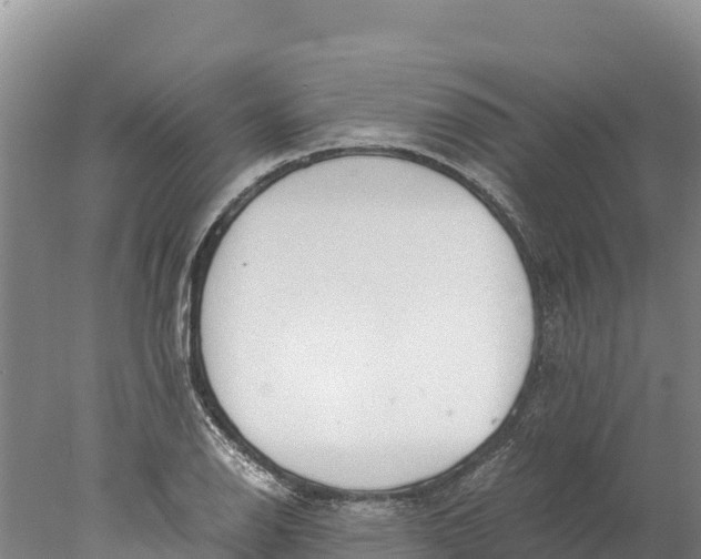 X0000077991126200611171747