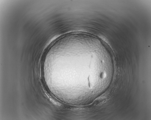 X0000077991127200611171747