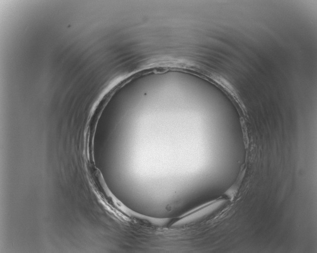 X0000077991128200611171747