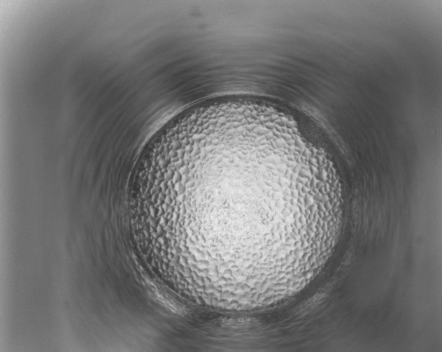 X0000077991129200611171747