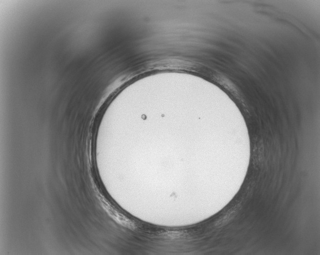 X0000077991130200611171747