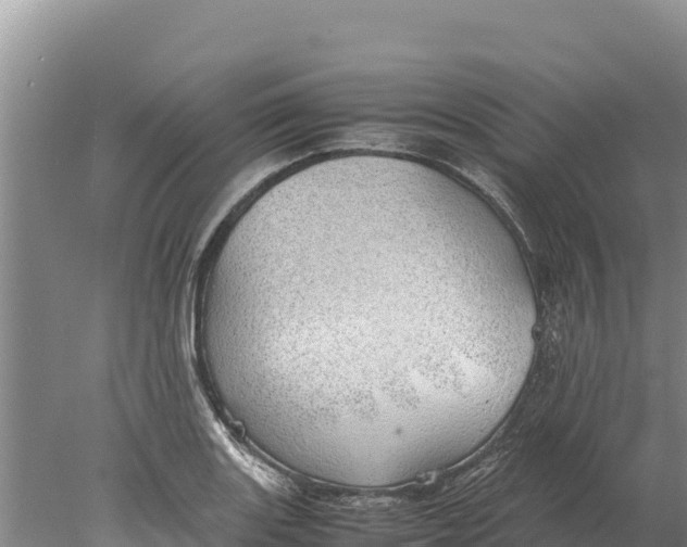 X0000077991131200611171747