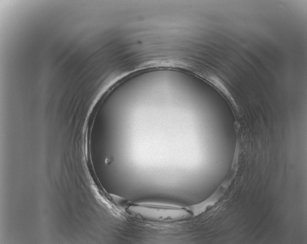 X0000077991132200611171748