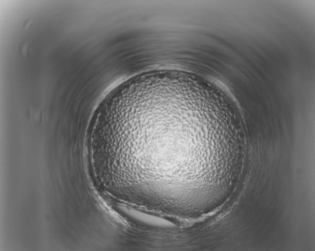 X0000077991133200611171748