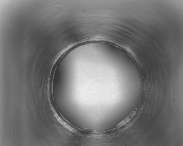 X0000077991134200611171748