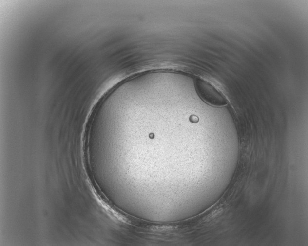 X0000077991135200611171748