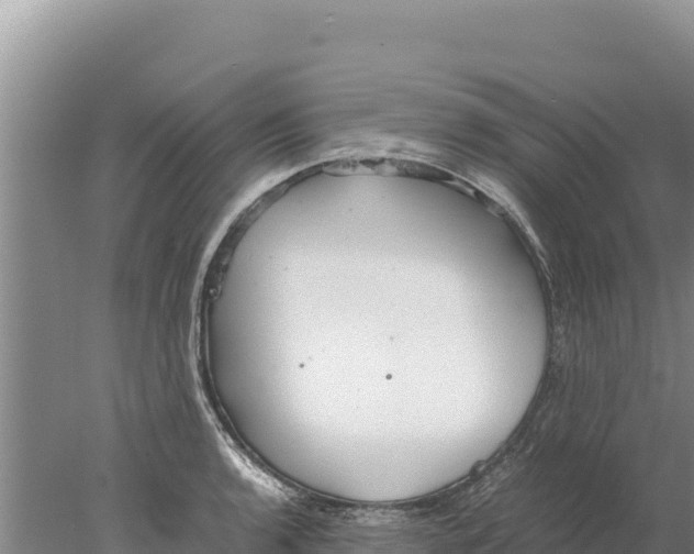 X0000077991136200611171748