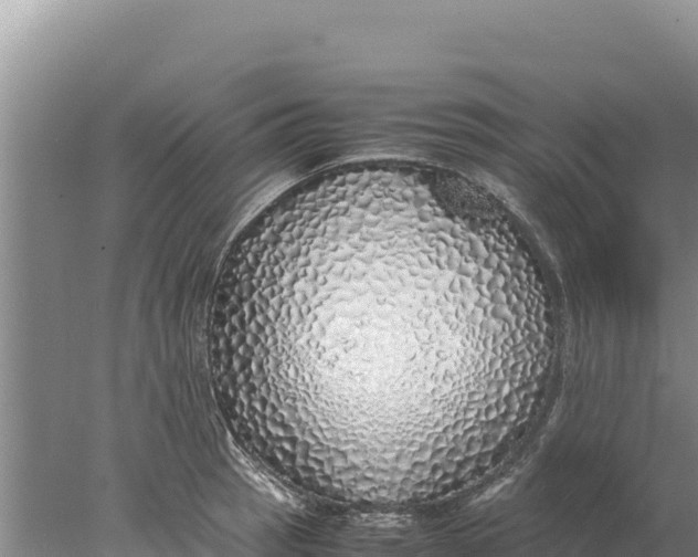 X0000077991137200611171748