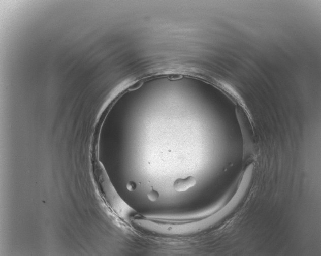 X0000077991138200611171748