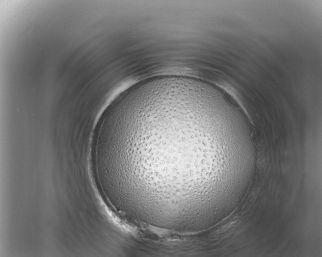 X0000077991139200611171748