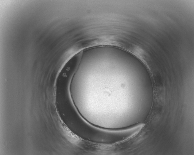 X0000077991140200611171748