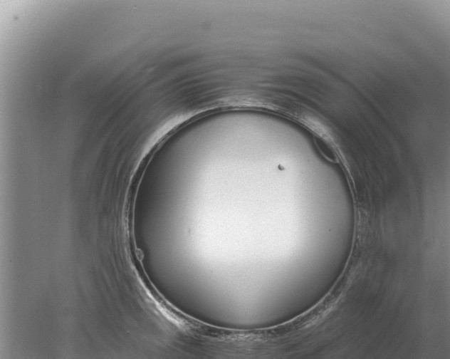 X0000077991141200611171748