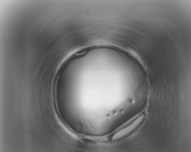 X0000077991142200611171748