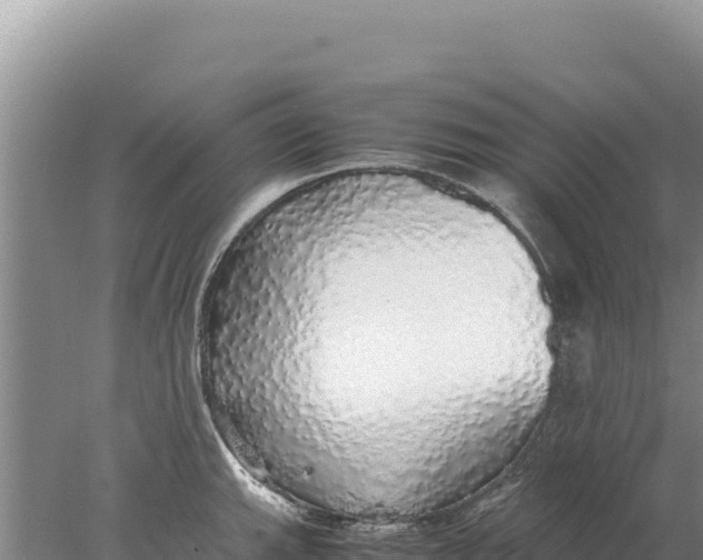 X0000077991143200611171748