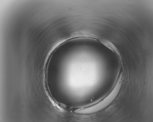 X0000077991144200611171748