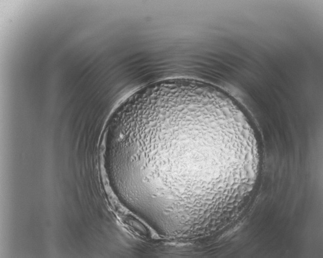 X0000077991145200611171748