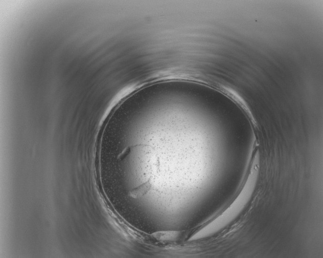 X0000077991146200611171748