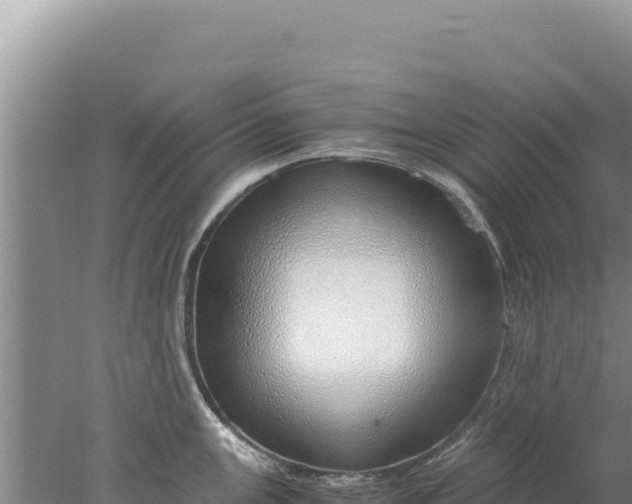 X0000077991147200611171748