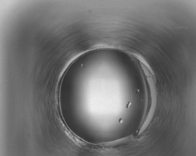 X0000077991148200611171748