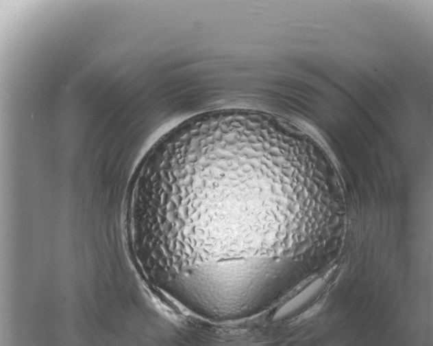 X0000077991149200611171748