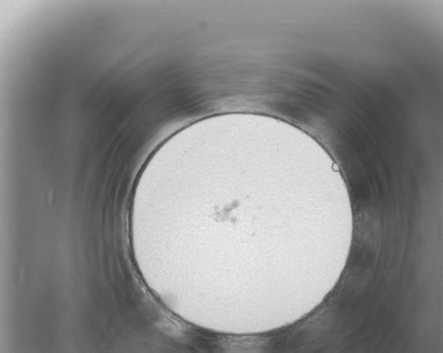 X0000077991150200611171748