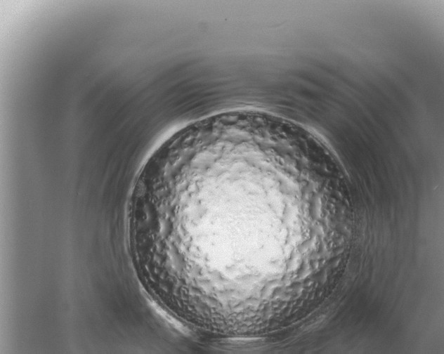 X0000077991151200611171748