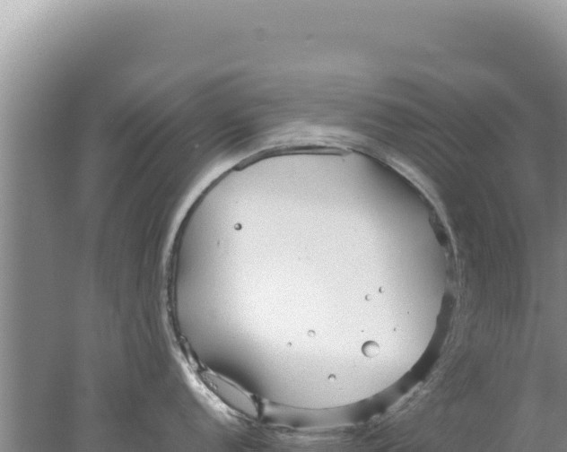 X0000077991152200611171748