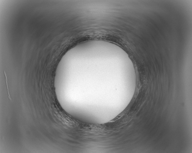 X0000077991153200611171747