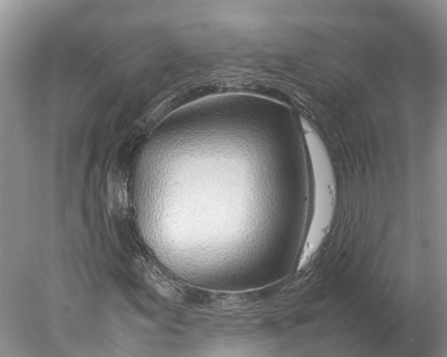 X0000077991155200611171747