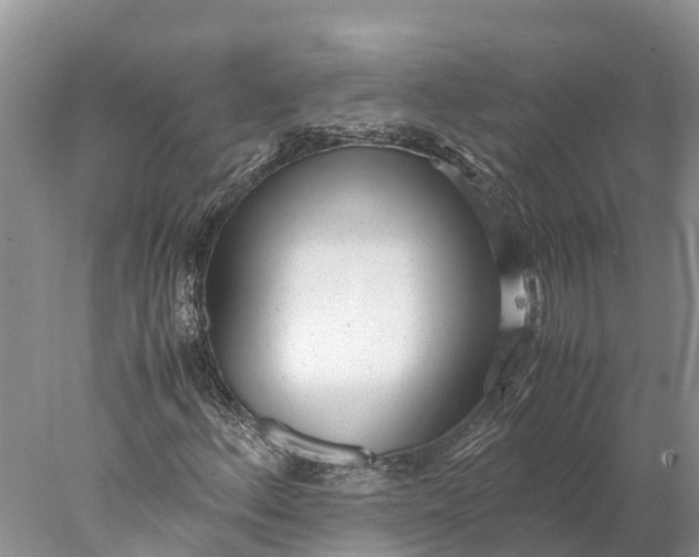 X0000077991156200611171747