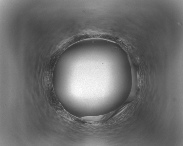 X0000077991157200611171747