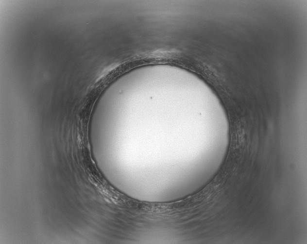 X0000077991158200611171747