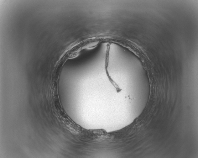 X0000077991160200611171747