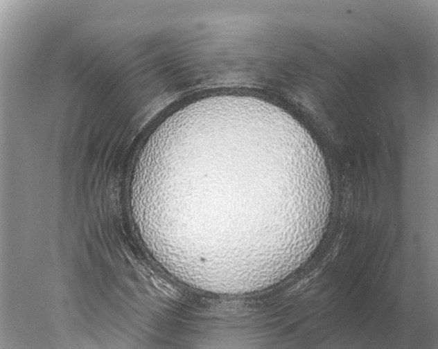 X0000077991162200611171747