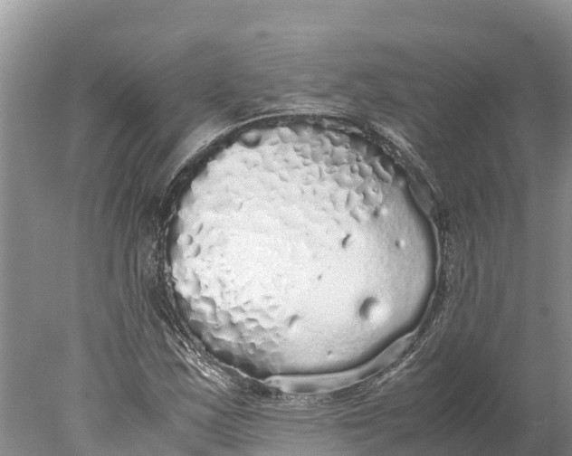 X0000077991163200611171747