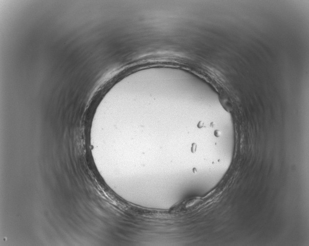 X0000077991164200611171747