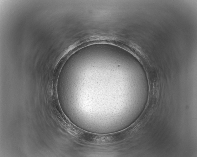 X0000077991165200611171747