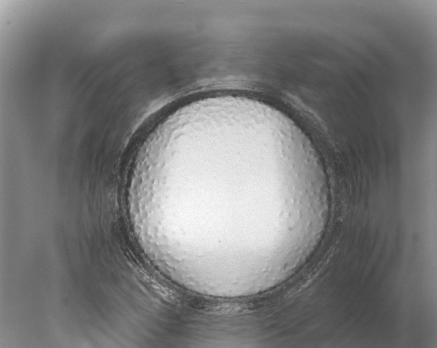 X0000077991166200611171747