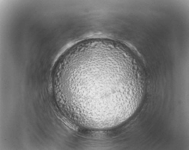 X0000077991167200611171747