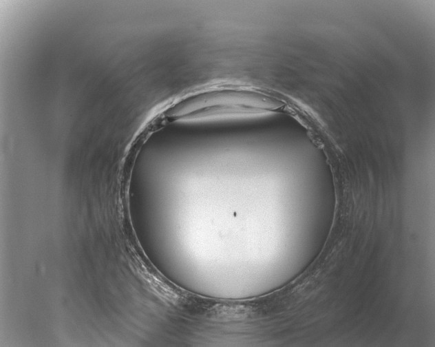 X0000077991168200611171747