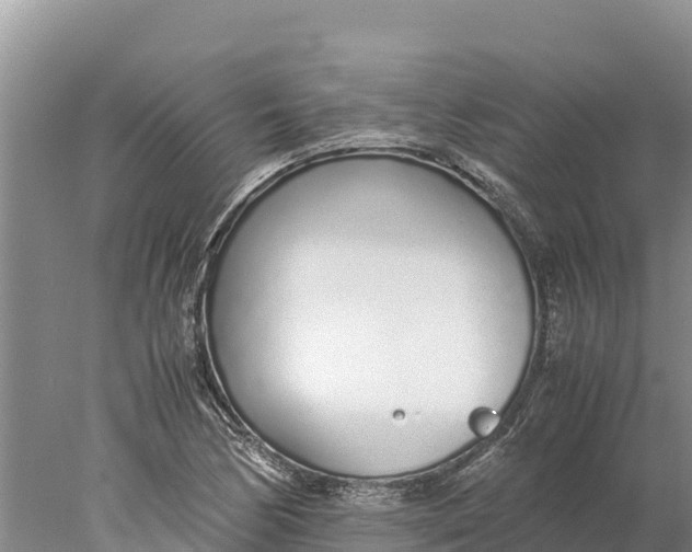 X0000077991170200611171747