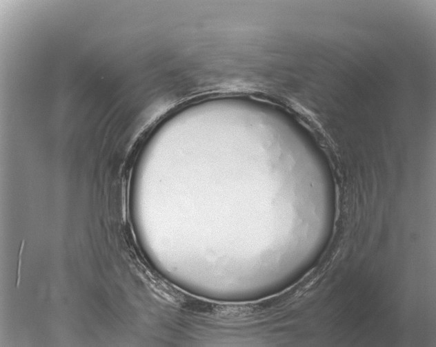 X0000077991171200611171747