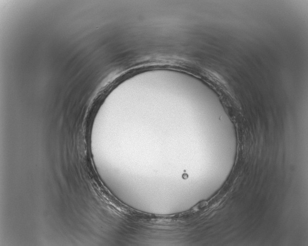 X0000077991172200611171747