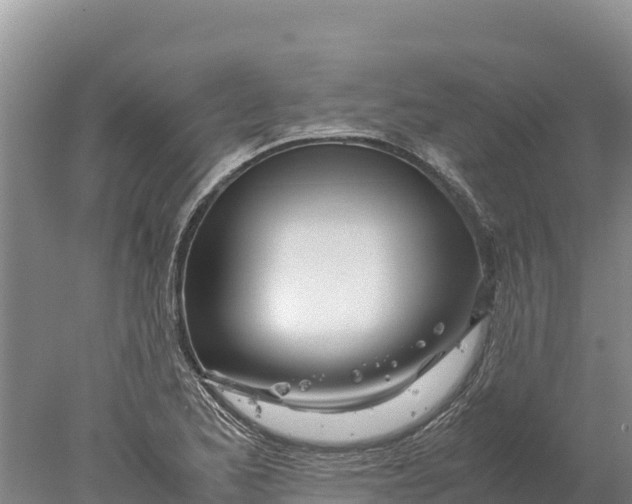 X0000077991173200611171747